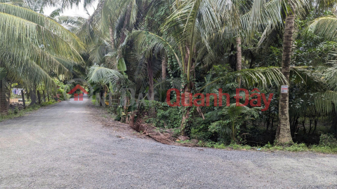 OWNER Needs to Quickly Sell Garden Land in Hoa Dinh Commune, Cho Gao, Tien Giang _0