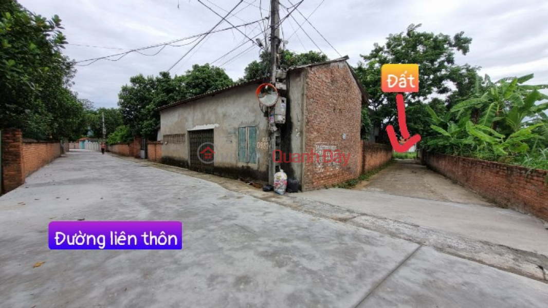 Property Search Vietnam | OneDay | Nhà ở, Niêm yết bán Giá chỉ nhỉnh 500tr bạn có thể sở hữu một lô đất 60m full thổ cư