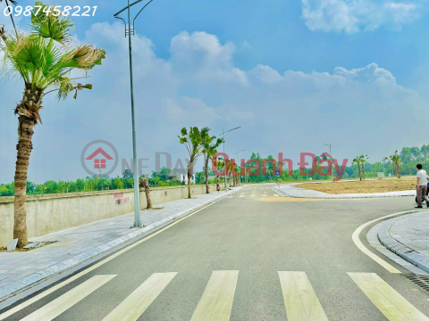 Urgently need to liquidate 5 plots of land in Spring City Viet Tri urban area - 90m2, extremely attractive investment price _0