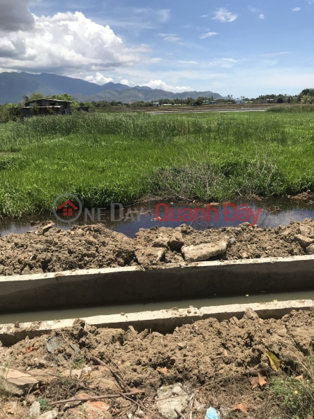 đ 550 Million | BEAUTIFUL LAND - GOOD PRICE - URGENT SALE Potential Land Lot In An Xuan 1 - Xuan Hai Commune, Ninh Hai, Ninh Thuan
