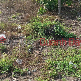 ĐẤT ĐẸP - GIÁ TỐT - Chính Chủ Bán Lô Đất MẶT TIỀN Quốc Lộ 60 Xã Long Thới, Tiểu Cần, Trà Vinh _0