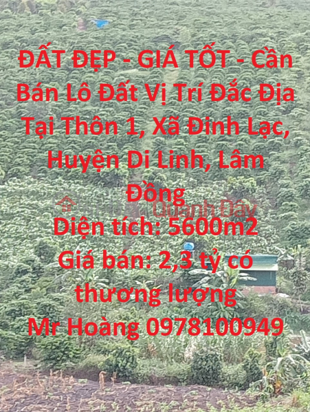 ĐẤT ĐẸP - GIÁ TỐT - Cần Bán Lô Đất Vị Trí Đắc Địa Tại Thôn 1, Xã Đinh Lạc, Huyện Di Linh, Lâm Đồng Niêm yết bán