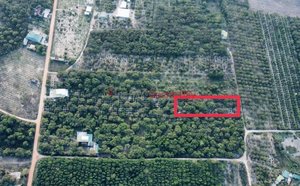 BEAUTIFUL LAND - GOOD PRICE - Land Lot For Sale In Ea knop Town, Ea Kar District, Dak Lak Sales Listings