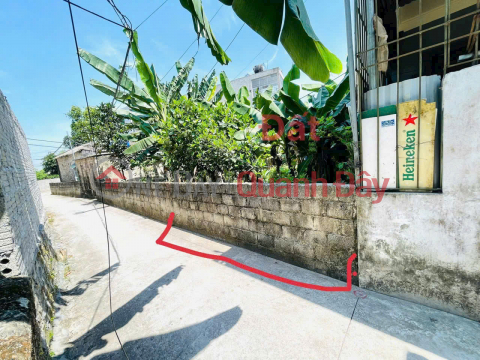 Own an ideal piece of land in Me Noi, Liem Chinh, Ha Nam with prices starting from only 1.4 billion _0