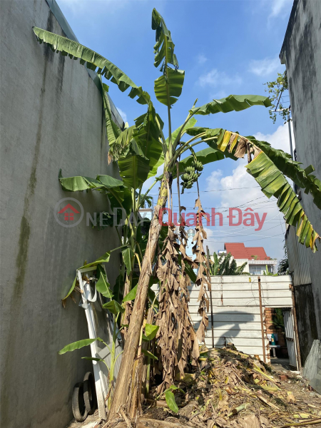 Property Search Vietnam | OneDay | Residential, Sales Listings, PRIME LAND - GOOD PRICE - For Sale In Long Diem Quarter, Long Binh Tan Ward