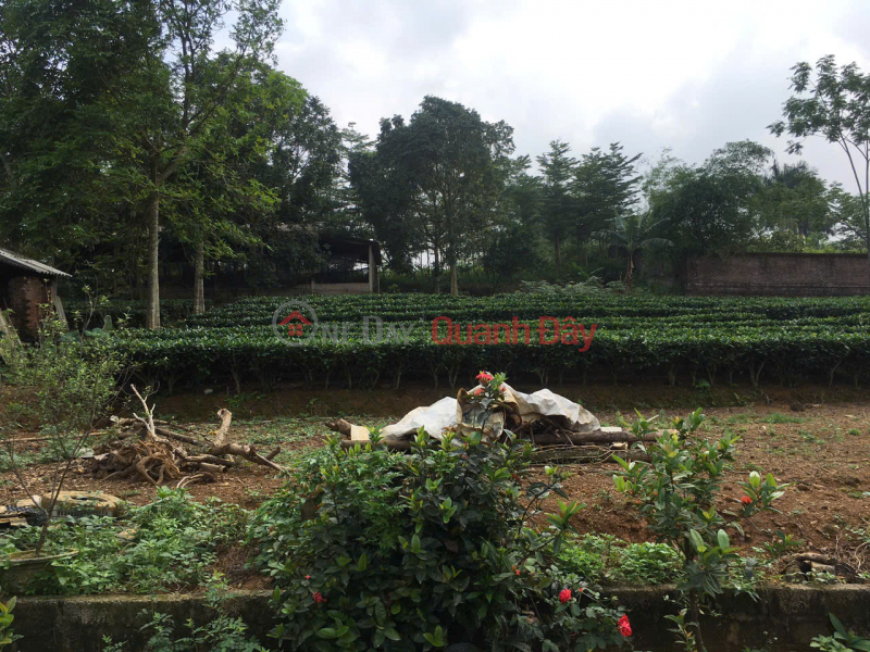đ 9,23 tỷ, ĐẤT ĐẸP - GIÁ ĐẦU TƯ Chính chủ cần bán nhanh lô đất vị trí đẹp tại huyện Ba Vì, Tp Hà Nội