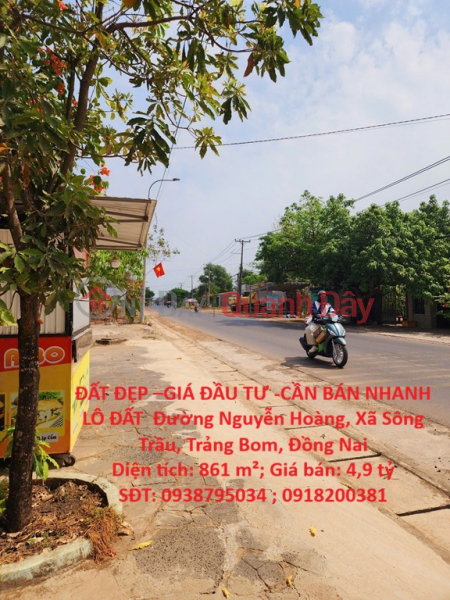 PRIME LAND – INVESTMENT PRICE – URGENT SALE! PLOT OF LAND FOR SALE Nguyen Hoang Street, Song Trau Commune, Trang Bom District, Dong Nai Province Sales Listings