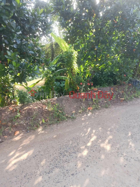 BEAUTIFUL LAND - FRONTAGE - Owner Needs to Sell Garden Land in Beautiful Location in Long Tien Commune, Cai Lay, Tien Giang _0