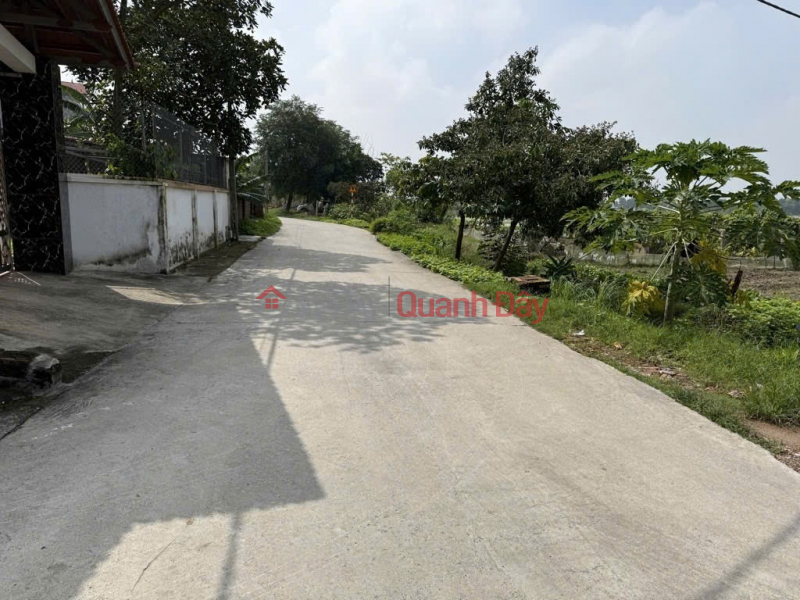 Land for sale in Thuan Thanh, Bac Ninh. 75m2 * frontage 4.3m * 1.85 billion. Cars can pass through, into the land. Sales Listings