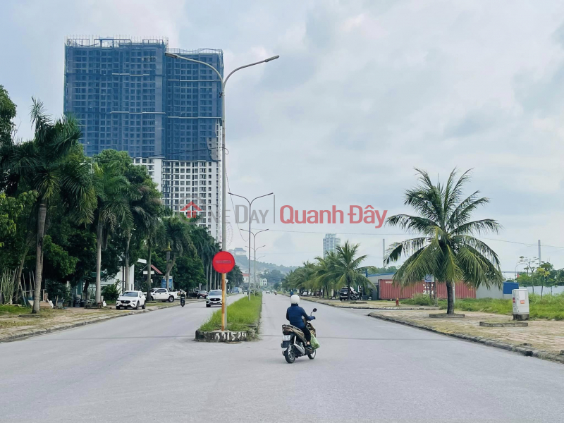 Property Search Vietnam | OneDay | Residential, Sales Listings The owner needs to transfer the villa plot on the 31m wide double road, Cao Xanh A urban area, Ha Long with a cheap price like