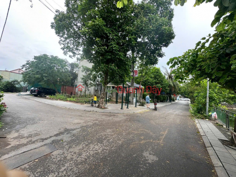 Property Search Vietnam | OneDay | Residential, Sales Listings | CORNER LOT! THE BEAUTY QUEEN IN THE VILLAGE Z153, UY NO DONG ANH IS OVER 5 BILLION