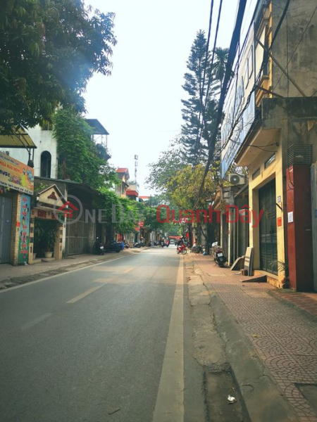 House for sale on Thanh Dam street, 102m2, large area, stable business Sales Listings