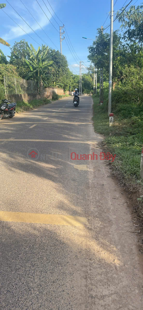 Owner sells 2 beautiful plots of land - Residential land and land for perennial crops _0