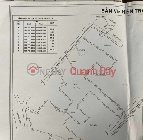 Transfer of large project of 6 hectares of land in Vo Van Bich, Binh My, Cu Chi, Ho Chi Minh City _0