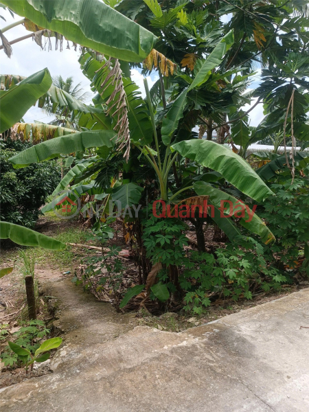 BEAUTIFUL LAND - GOOD PRICE - URGENT SALE Potential Land Lot In Thuong Thanh Ward, Cai Rang District, Can Tho Vietnam | Sales, đ 900 Million