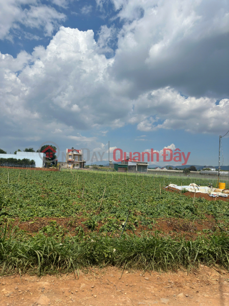 Property Search Vietnam | OneDay | Residential | Sales Listings | FOR SALE 505m2 LAND IN GROUP 32, LIEN NGHIA TOWN, DUC TRONG - LAM DONG