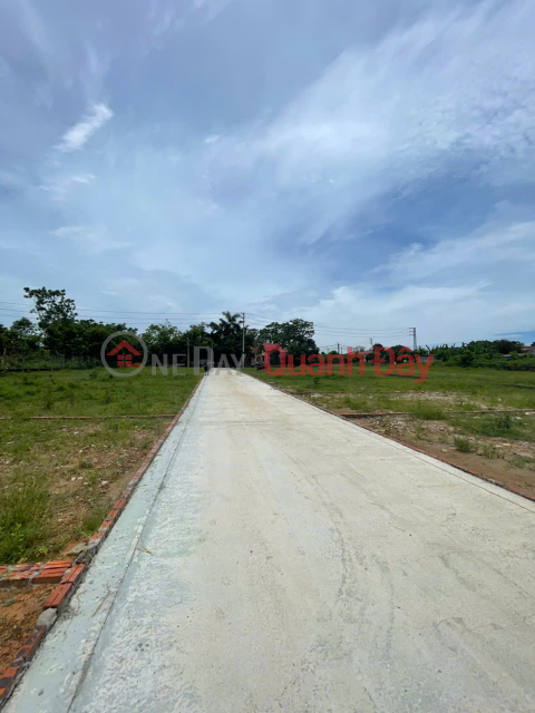 Hanoi land over 115m² for only over 700 million _0