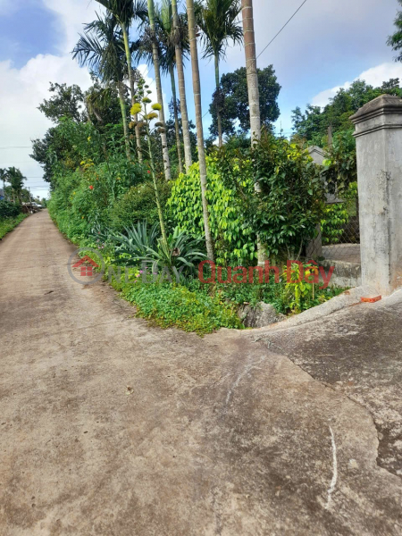 ĐẦU TƯ SINH LỜI – CẦN BÁN ĐẤT THỔ CƯ, Tổ Dân Phố Bình Minh, P. Cư Bao, T. Đắk Lắk Niêm yết bán