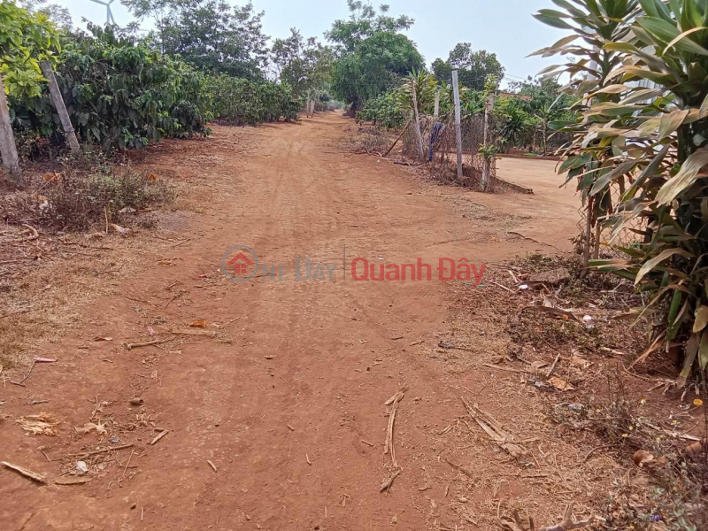 FOR SALE Plot In ia Pet Commune-Dak Doa-Gia Lai- Extremely Cheap Price Sales Listings