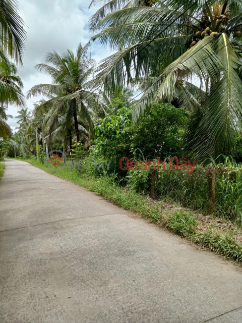 Beautiful Land For Sale - Very Cheap Price In Minh Duc Commune, Mo Cay Nam District, Ben Tre _0