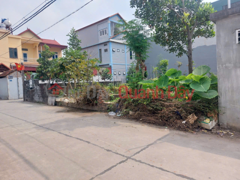 CHÍNH CHỦ bán nhanh 100m2 đất ở - Trung tâm thị trấn Phúc Thọ, Hà Nội - Đường ô tô tránh _0