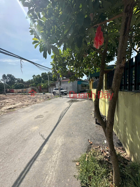 SUPER RARE CORNER LOT – GOLDEN LOCATION IN THE DEVELOPMENT CENTER OF TIEN TAN HA NAM _0