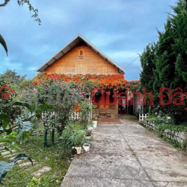 Owner For Sale SUPER BEAUTIFUL Homestay Garden House - INVESTMENT PRICE In Ta Nung Commune, 12 Km From Da Lat City _0