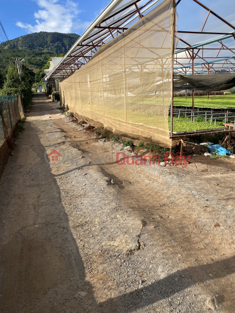 OWNER NEEDS TO SELL LOT OF LAND URGENTLY Beautiful Location In Duc Trong, Lam Dong _0