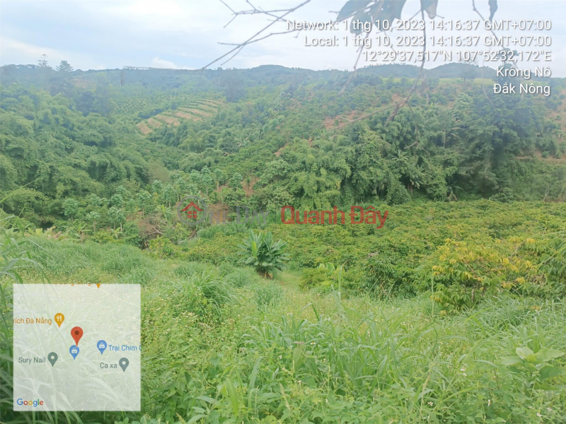 OWN A BEAUTIFUL LOT OF LAND NOW IN Krong No District, Dak Nong | Vietnam | Sales | đ 7.5 Billion