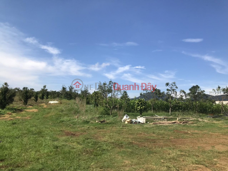 Beautiful Land - Good Price - Owner Needs to Sell Land Plot, Beautiful Location, Bla Bao Commune, Lam Dong Vietnam, Sales | ₫ 11.2 Billion