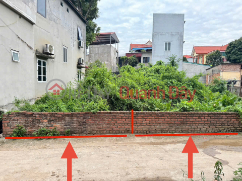 Bán đất Phú Hữu, Thanh Lâm, Mê Linh. Gần đường quốc lộ 23b và đồi 79 mùa xuân _0