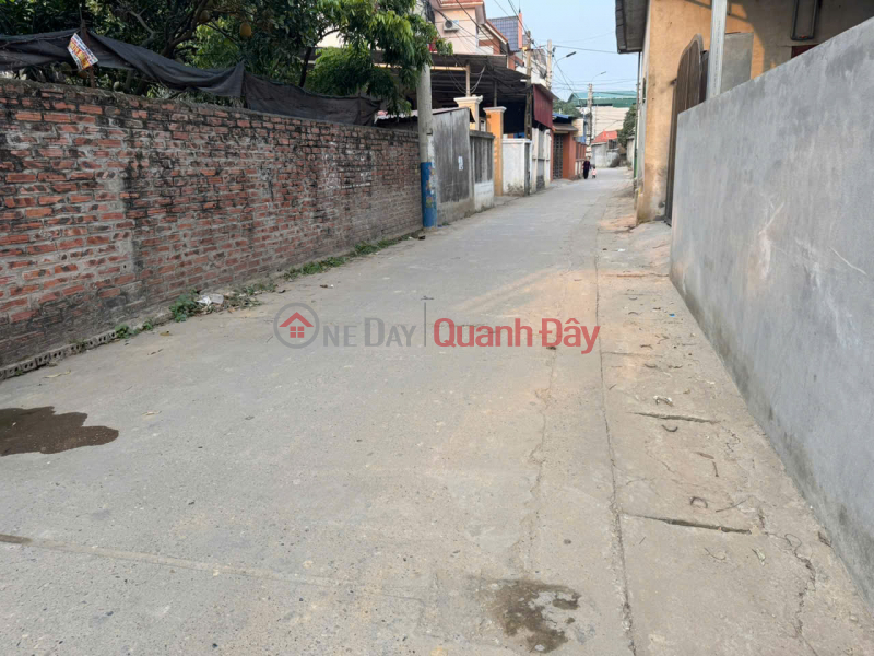 Extremely rare, a once-in-a-lifetime opportunity: own 37m² of land in Group 9, Quang Minh for only 1.95 billion VND. Sales Listings