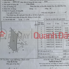 PRIME LAND - GREAT PRICE - Owner Selling Planned Residential Land in Giai Son, An My Commune, Tuy An District, Phu Yen Province _0