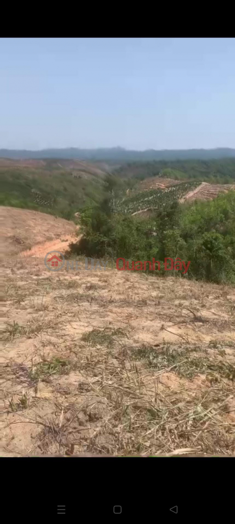 BEAUTIFUL LAND - GOOD PRICE - OWNER NEEDS TO SELL LAND LOT QUICKLY IN Dak So Mei Commune (Dak Doa district, Gia Lai province) _0