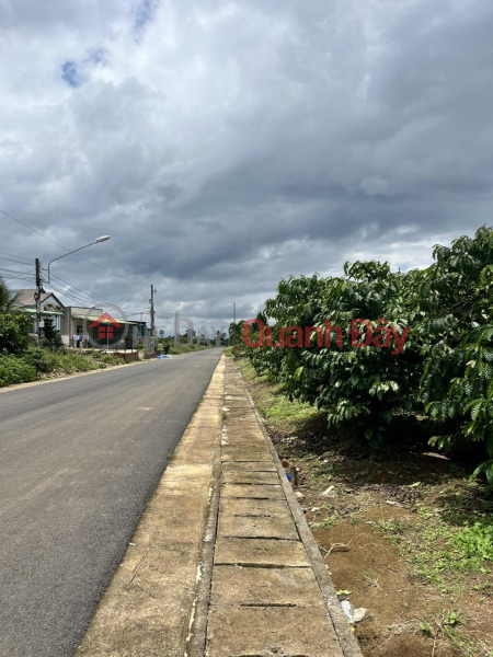 Land FOR SALE URGENTLY In Loc Phat Ward - Bao Loc City, Lam Dong Province Vietnam | Sales ₫ 5.8 Billion