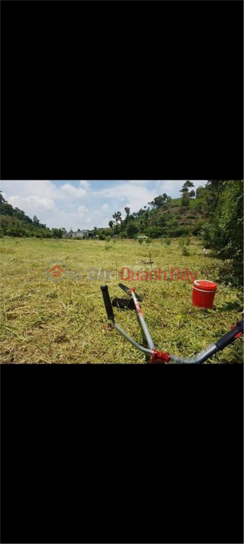 ĐẤT ĐẸP – GIÁ TỐT – CHÍNH CHỦ CẦN BÁN ĐẤT TẠI Xã Hàng Gòn, Thành phố Long Khánh, Đồng Nai _0