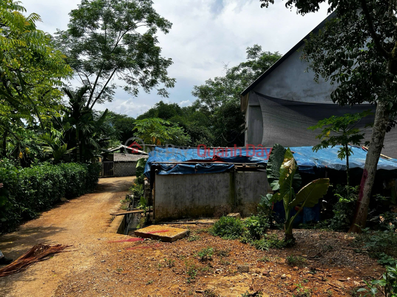 INVESTMENT IS PROFITABLE - Land Owned by the Owner in Ao U Hamlet, Nhan My Commune, Tan Lac District, Hoa Binh Province | Vietnam | Sales, đ 10 Million