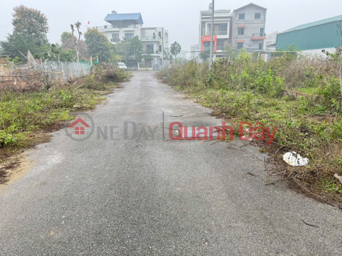 Bán đất Khu đô thị Chi Đông, Mê Linh, Hà Nội - Vị trí Vàng, Đón Đầu Vành Đai 4 _0
