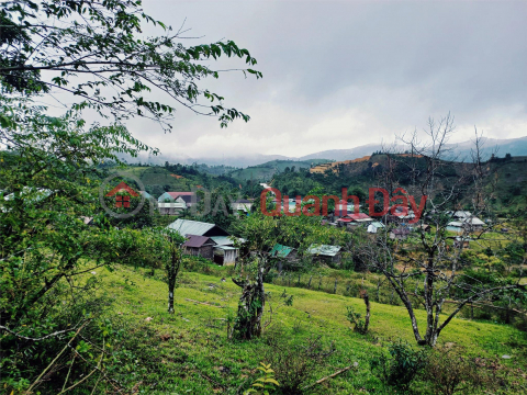 Agricultural land for sale in Mang Den area _0