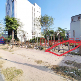 Land for sale on Bui Vien street - Zone 4 Vinh Niem, 84m, frontage 4.2, sidewalk 5m, price 82 million\/m _0