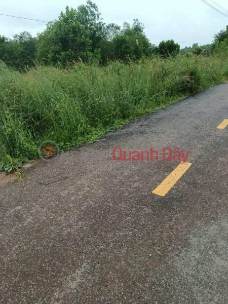 Property Search Vietnam | OneDay | Residential | Sales Listings LAND FOR SALE BY OWNER - FRONTAGE An Long Commune, Phu Giao, Binh Duong