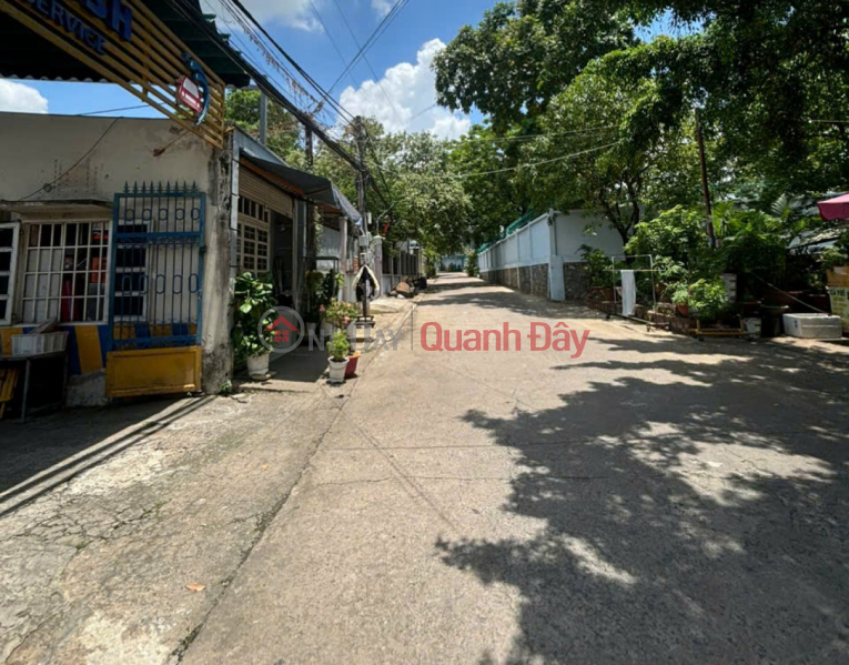 Property Search Vietnam | OneDay | Nhà ở, Niêm yết bán, Giảm 2.5tỷ! Đất SHR HXT né 979m2, Nở hậu – Đặng Đức Thuật TP.Biên Hoà SS