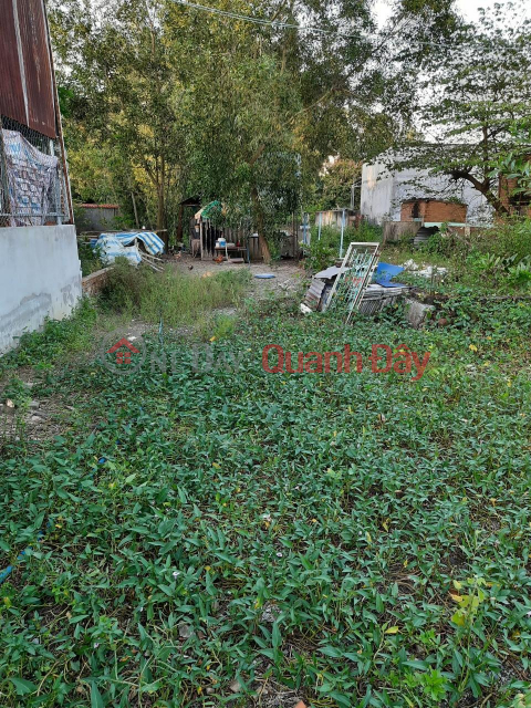 OWNER Need to Sell Quickly Beautiful Land Lot Location In Dong Nai Province _0