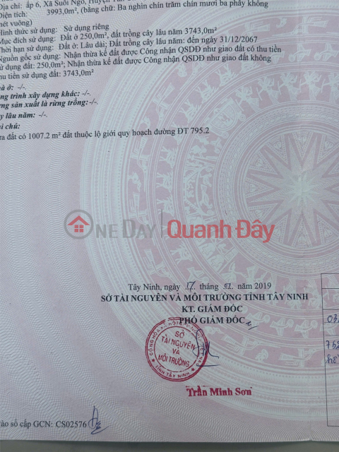 PRIME LAND FOR SALE AT A GOOD PRICE in Tan Hoa, Suoi Ngo Commune, Tan Chau District, Tay Ninh (old address) _0