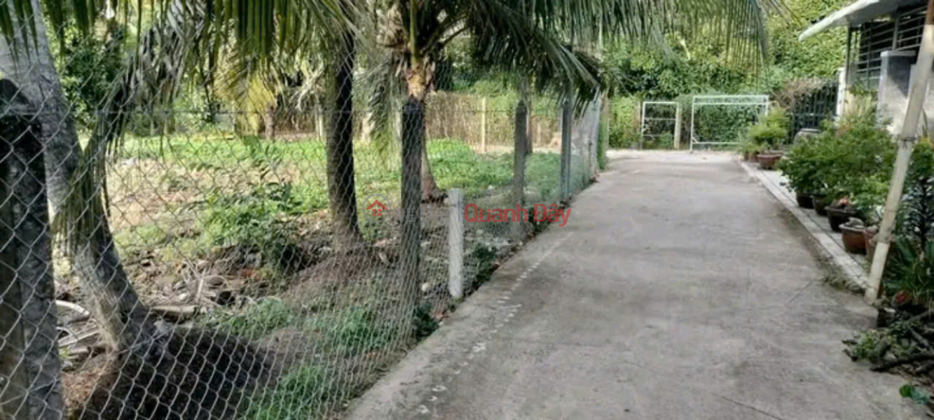 Property Search Vietnam | OneDay | Residential Sales Listings Land for Sale Garden Land with Residential Land at An Son 32, An Son Commune, Thuan An City, Binh Duong 500 meters