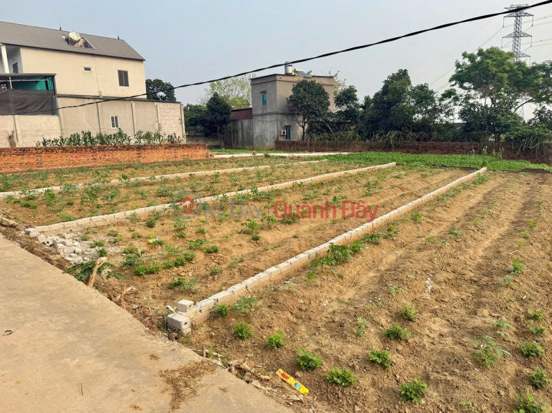 HIẾM - ĐẤT ĐẸP F0 - Cần bán mảnh đất Nội Quan, Mai Trung nay là Hợp Thịnh, Bắc Ninh | Việt Nam Bán | đ 999 triệu