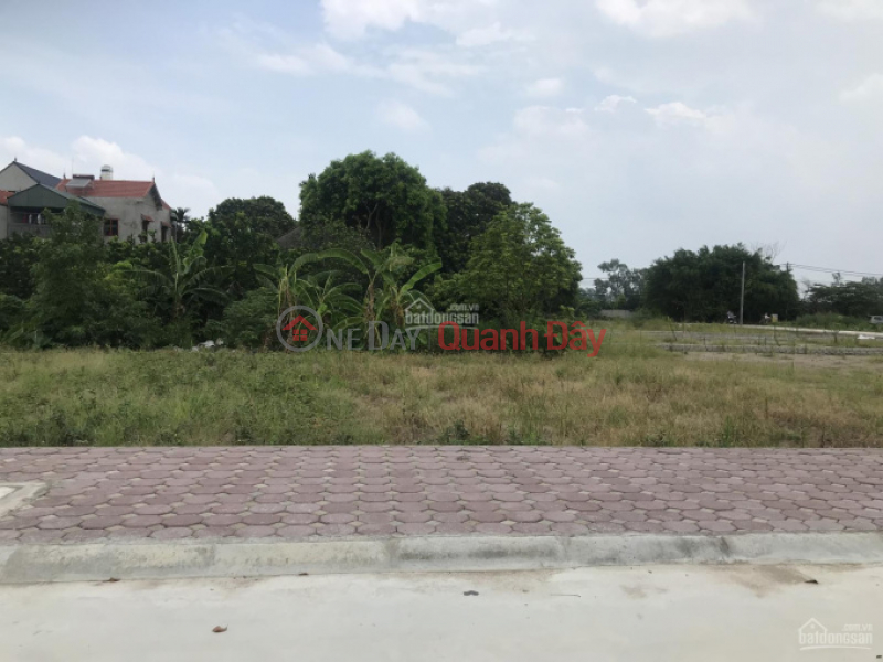 Property Search Vietnam | OneDay | Residential, Sales Listings, Land for sale at auction in Chuong Loc, Chuong Duong, Thuong Tin district, Hanoi.