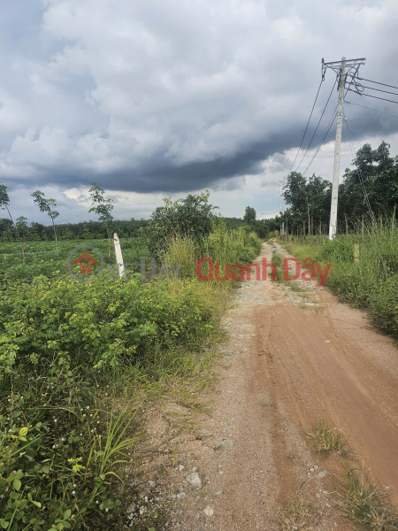 Selling 10,754m2 Price 20 Billion Residential Land in Long Hoa Commune, Dau Tieng District, Binh Duong Province | Vietnam Sales | đ 20 Billion