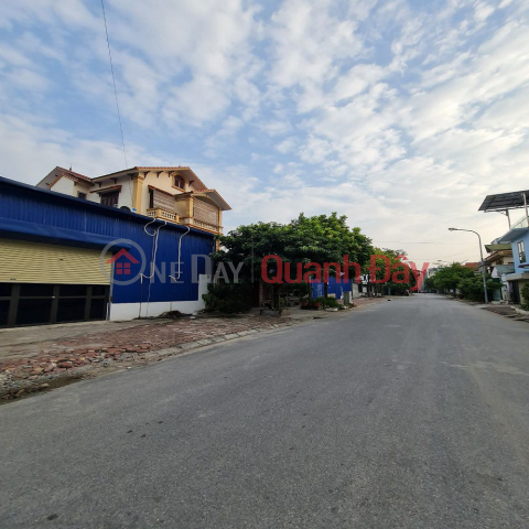 Land for sale at auction 31ha Trau Quy, Gia Lam, Hanoi.123m2. 15m road. _0