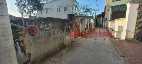 Bán đất Lệ Chi 646,4m² ,ngõ 4m, xe 16 chỗ chạy vòng quanh – giá chỉ 25 triệu/m² _0